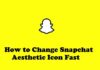 Snapchat Aesthetic Icon Fast